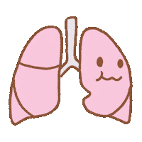Lungs Sticker by MEDIC MEDIA byomie