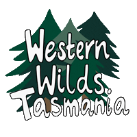 Roadtrip Camper Sticker by Tasmania