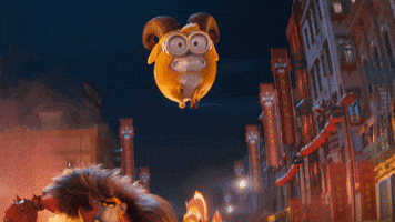 Kung Fu What GIF by Minions