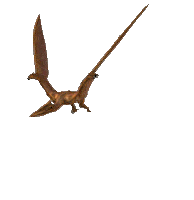 3D Flying Sticker