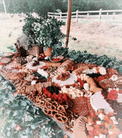GatherAndGraze food platters gather and graze gatherandgrazeuk GIF