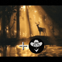 Red Dead Dream GIF