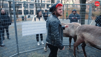 Prancer And Dancer