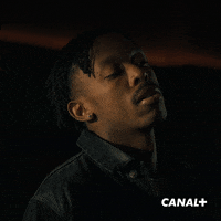 Tv Show Money GIF by CANAL+