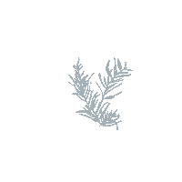 Plant Palm Sticker by Joie Inn