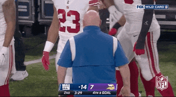 Nfl Playoffs Football GIF by NFL