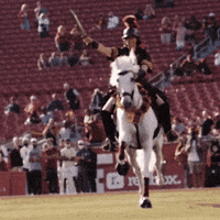 Fight On College Football GIF by BLVD Studios