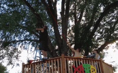 tree lol GIF by America's Funniest Home Videos