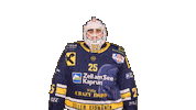 Zellamsee Ekz Sticker by EK Zeller Eisbären