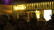 portugal festa GIF by Licor Beirão