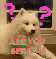 fluffyoppa dog oppa question mark samoyed GIF