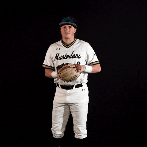 Baseball Catch GIF by Purdue Fort Wayne Athletics