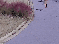 Hmj GIF by Jack Harlow
