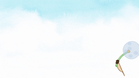 Kikattava Kakkiainen GIF by Otavankirjat