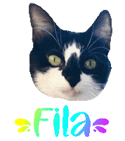 Cat Tuxedo Sticker