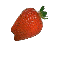 Strawberry いちご Sticker by suikanosato