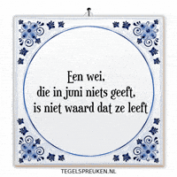 Humor Nl GIF by Tegelspreuken.nl