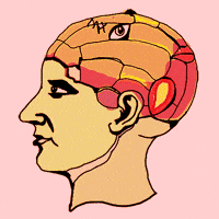 fun spinning GIF by Dax Norman