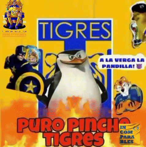 Liga Mx Tigres GIF