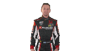honda what Sticker by FIA WTCR