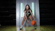 Basketball GIF by RiverHawk Sports