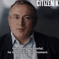 Venice Film Festival Russia GIF by Wildcard Distribution