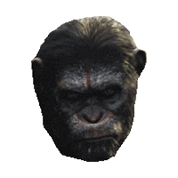 monkey STICKER by imoji