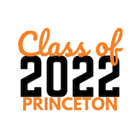Class Of 2022 Sticker by Princeton University