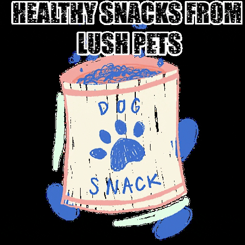 lushpetsco healthy snacks dog snacks dog snack lushpets GIF
