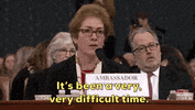 news impeachment impeachment inquiry impeachment hearings day two marie yovanovitch GIF