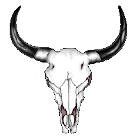 South Africa Skate Sticker by Ultimate X