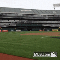 usa player GIF by MLB