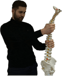 Physio Rücken Sticker by Physiotherapie Matthias Kranz