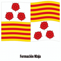 Flag Spain GIF by Formación Ninja