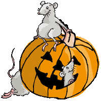 krima-isa happy fun halloween fall Sticker