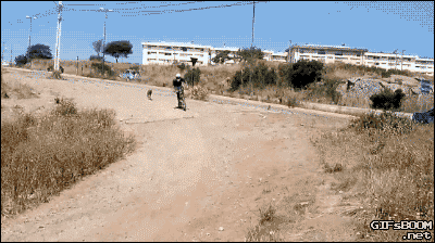 yay GIF