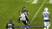 baltimore ravens football GIF by NFL