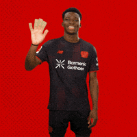 Bayer 04 Hello GIF by Bayer 04 Leverkusen