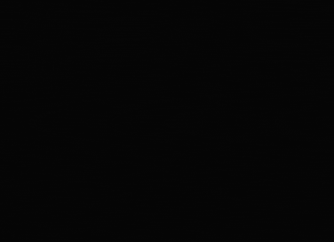 VisualizeMX logo visual visualize visualizemx GIF