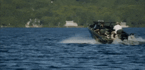 wisconsin GIF