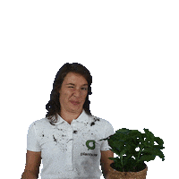 plantsome plant plants oops accident Sticker
