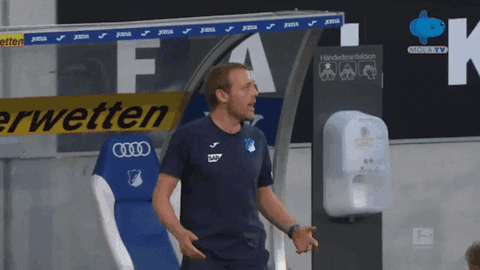 Give Rb Leipzig GIF by MolaTV