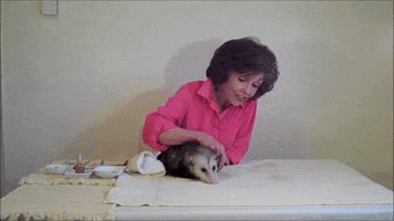 Best of Opossum Lady