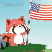 4Th Of July Usa GIF