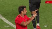 Sl Benfica Hug GIF by Sport Lisboa e Benfica