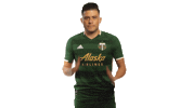 Portland Timbers Mls Sticker by Timbers