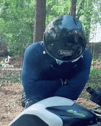 Look Up GIF