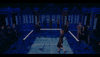 Princess Diana Broadway GIF by dianaonbroadway