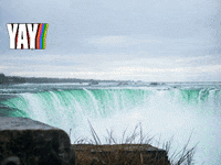 Koerperformen Bonn Partner GIF by FranchiseONE.de