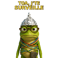 zikfunzik grenouille sceptique zinzin zfz Sticker